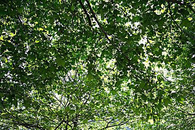 钓鱼模拟游戏《荒野的召唤：垂钓者》将于8月31日发售