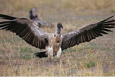 潜行沙盒动作游戏《冬季余烬》4月19日推出