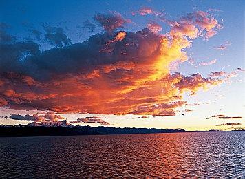 PC《最后的生还者》新补丁上线 改进鼠标视角卡顿问题