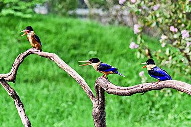 担心的事情发生了！小学生为解游戏防沉迷限制被骗千元