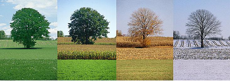 《小小梦魇3》18分钟关卡演示 展示合作模式